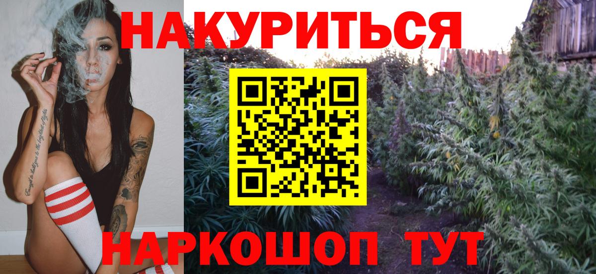 Шишки марихуана планчик  Канабис план  Верхний Уфалей  Каннабис Bruce Banner  Вход с VPN  Бошки марихуана семена 